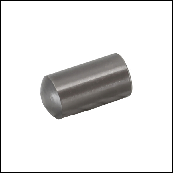 (image for) 891 Plunger (3 Required)