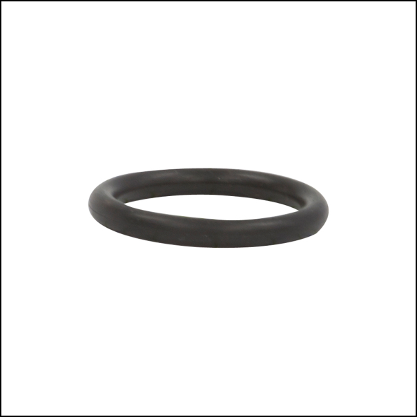 (image for) P073009 Gasket 2